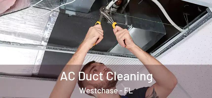  AC Duct Cleaning Westchase - FL