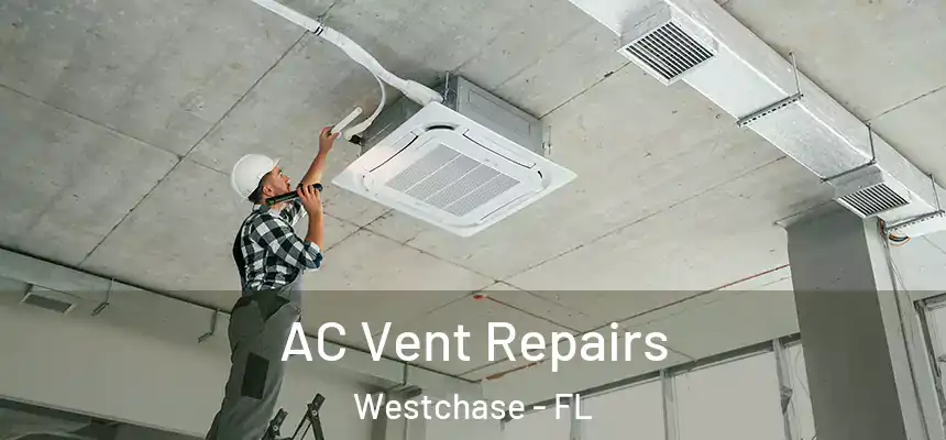 AC Vent Repairs Westchase - FL
