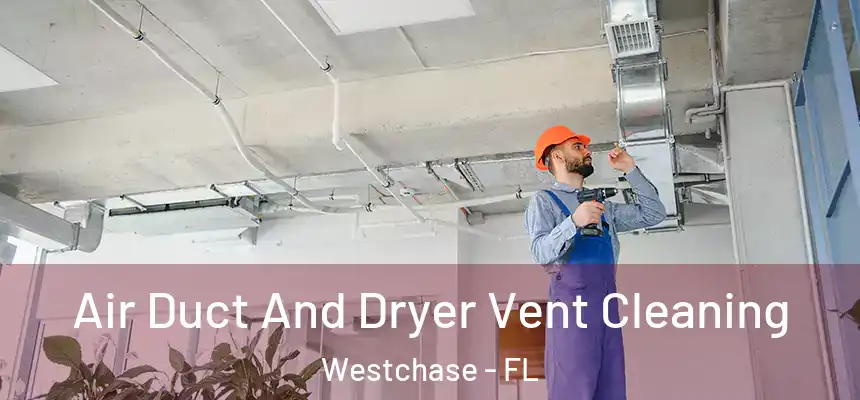 Air Duct And Dryer Vent Cleaning Westchase - FL