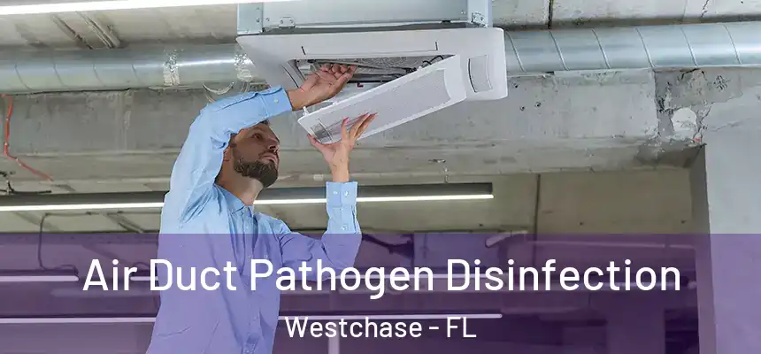 Air Duct Pathogen Disinfection Westchase - FL