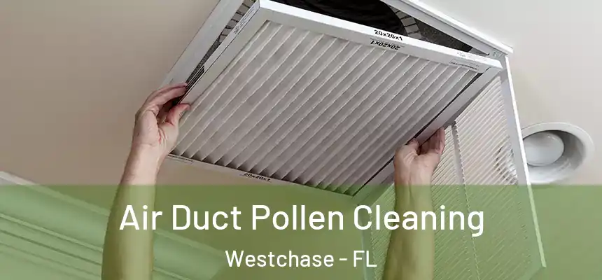  Air Duct Pollen Cleaning Westchase - FL
