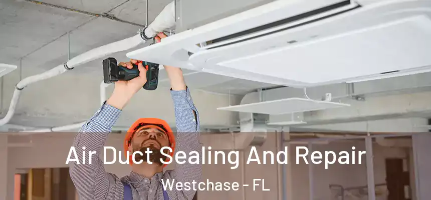 Air Duct Sealing And Repair Westchase - FL