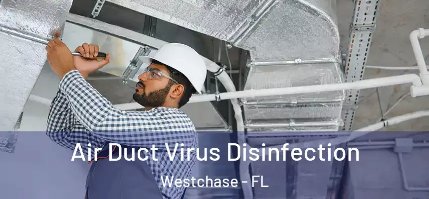  Air Duct Virus Disinfection Westchase - FL