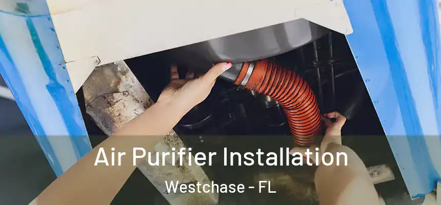  Air Purifier Installation Westchase - FL