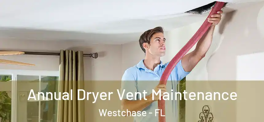 Annual Dryer Vent Maintenance Westchase - FL