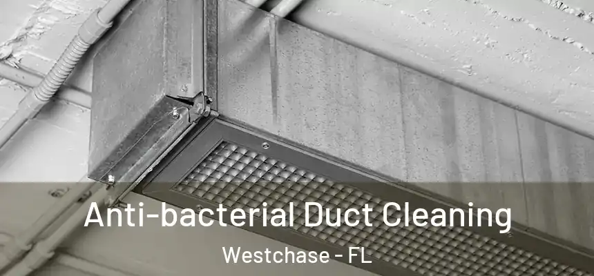  Anti-bacterial Duct Cleaning Westchase - FL