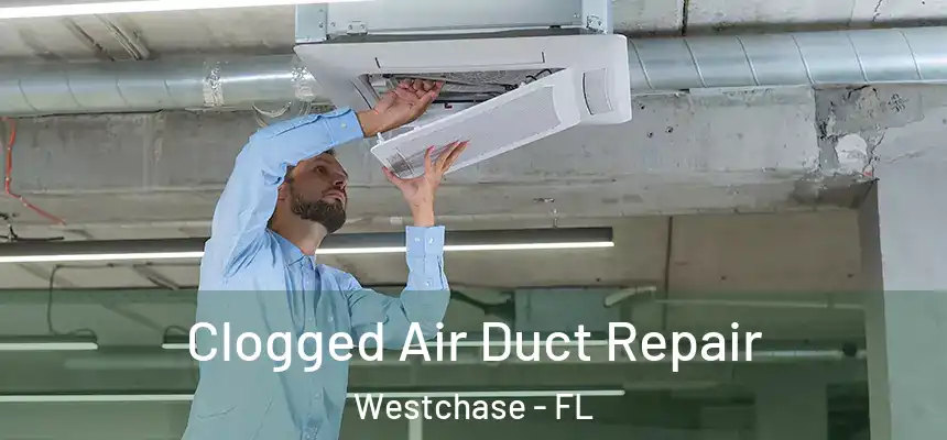  Clogged Air Duct Repair Westchase - FL
