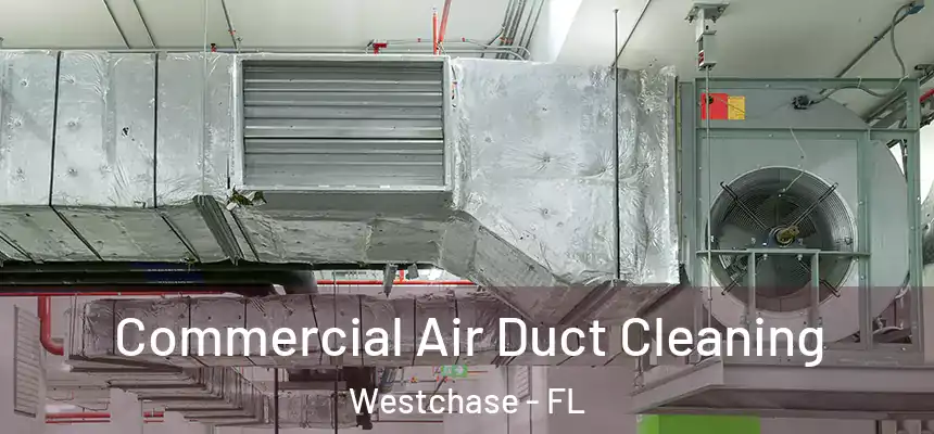 Commercial Air Duct Cleaning Westchase - FL