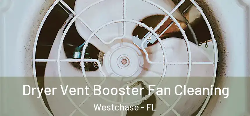 Dryer Vent Booster Fan Cleaning Westchase - FL