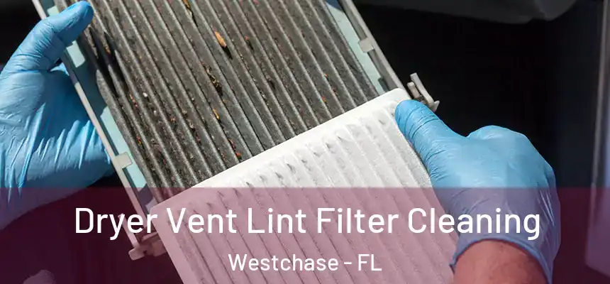 Dryer Vent Lint Filter Cleaning Westchase - FL