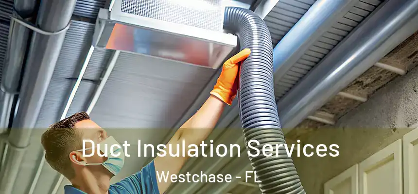  Duct Insulation Services Westchase - FL