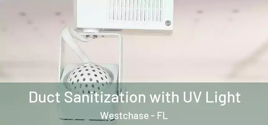 Duct Sanitization with UV Light Westchase - FL
