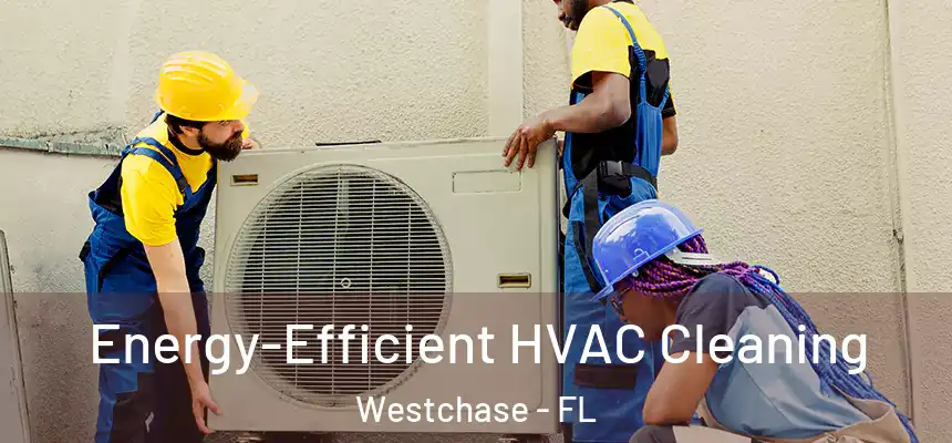 Energy-Efficient HVAC Cleaning Westchase - FL