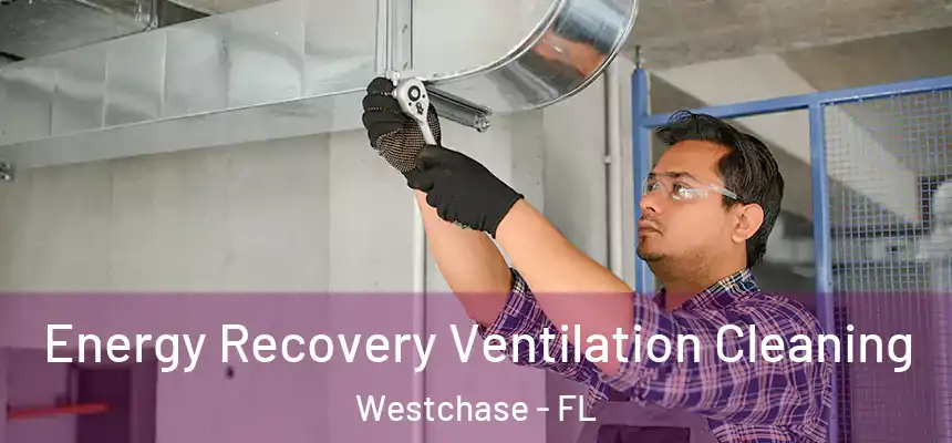 Energy Recovery Ventilation Cleaning Westchase - FL