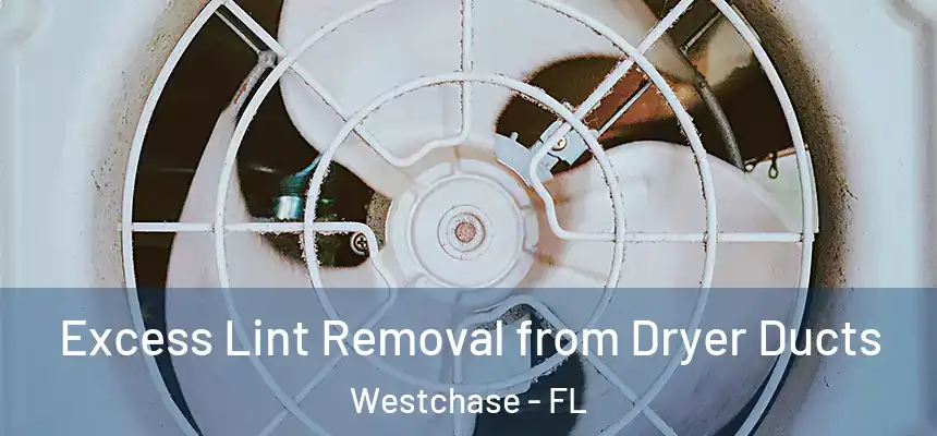 Excess Lint Removal from Dryer Ducts Westchase - FL
