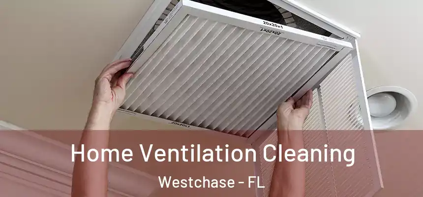 Home Ventilation Cleaning Westchase - FL