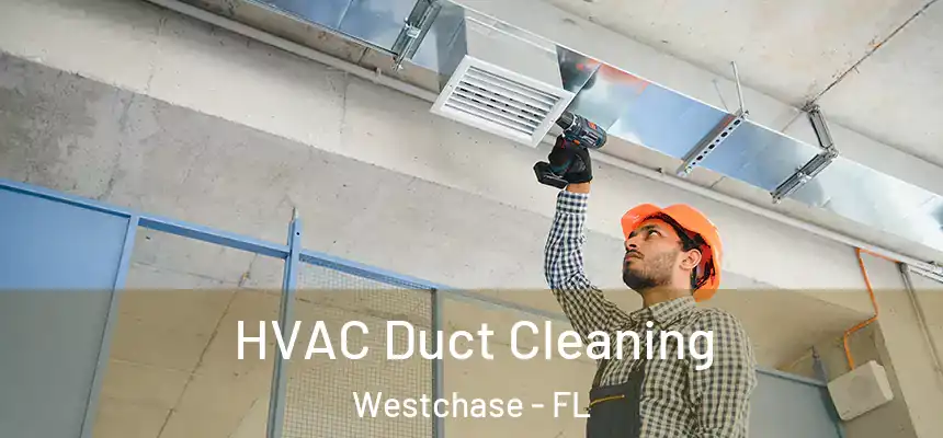  HVAC Duct Cleaning Westchase - FL