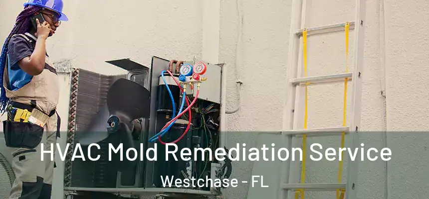 HVAC Mold Remediation Service Westchase - FL