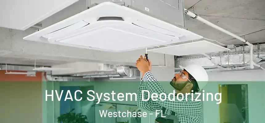 HVAC System Deodorizing Westchase - FL