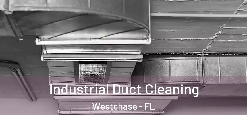 Industrial Duct Cleaning Westchase - FL