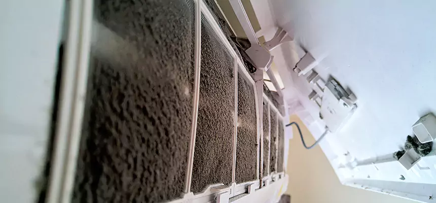 Preventive Air Duct Bacteria Removal in Westchase