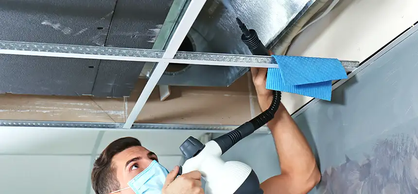 Our Air Duct Rodent Removal Services in Westchase, FL