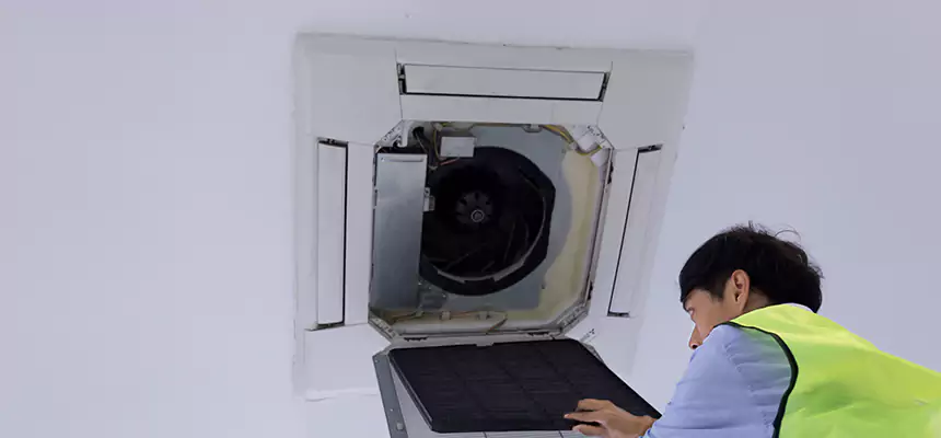 Our Dryer Vent Sanitization Service Services in Westchase, FL