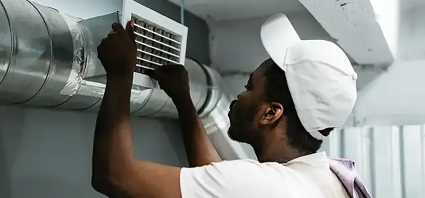 Our Licensed And Insured Cleaners in Westchase, FL