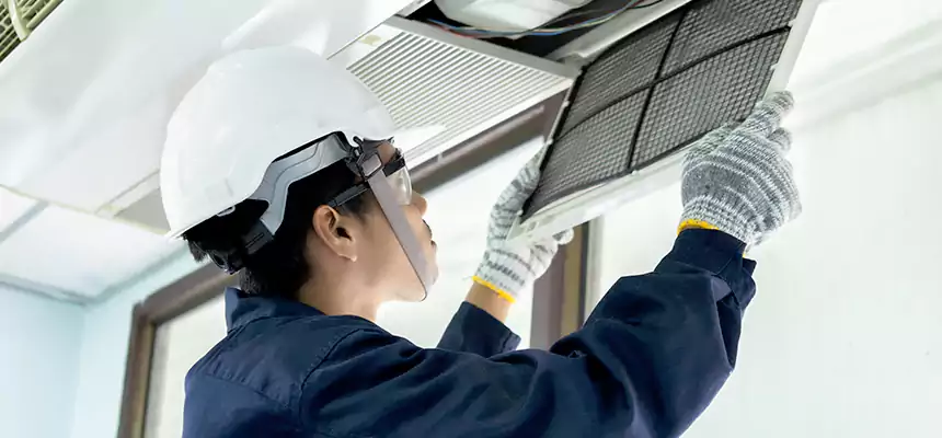 Our Mold & Mildew Removal from Air Ducts Services in Westchase, FL