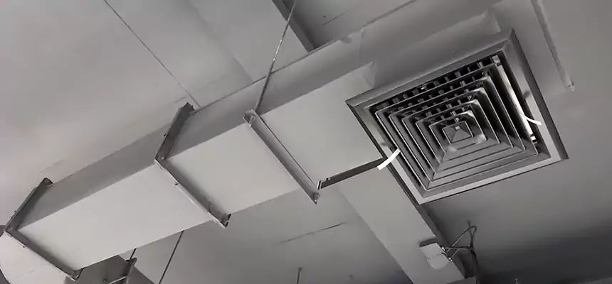 Our Pest Removal From Ducts Services in Westchase, FL