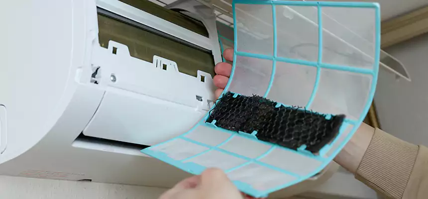 Gentle Ductwork Odor-Control Pet Dander Duct Cleaning in Westchase, FL