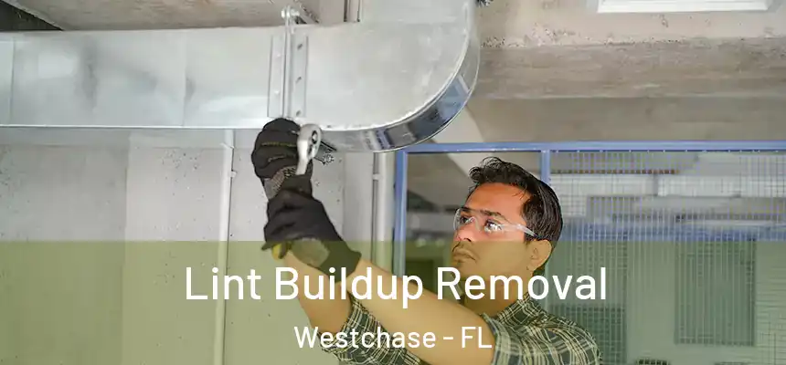 Lint Buildup Removal Westchase - FL