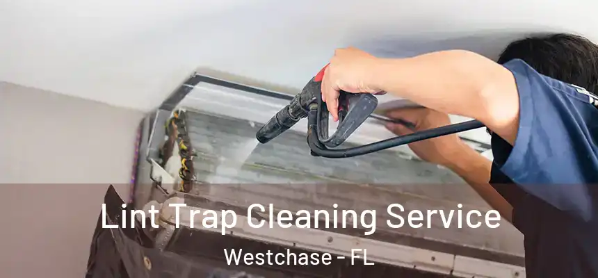 Lint Trap Cleaning Service Westchase - FL