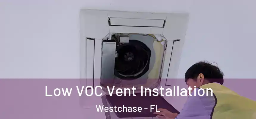 Low VOC Vent Installation Westchase - FL