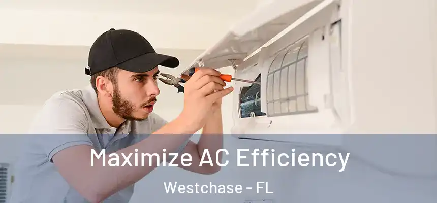 Maximize AC Efficiency Westchase - FL