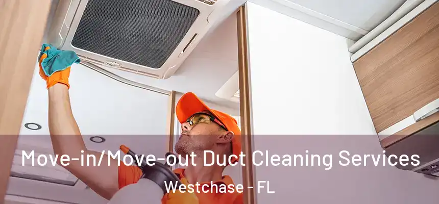 Move-in/Move-out Duct Cleaning Services Westchase - FL