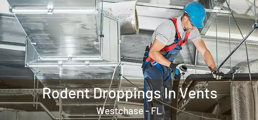 Rodent Droppings In Vents Westchase - FL