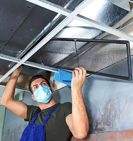 About Air Duct Bacteria Removal in Westchase