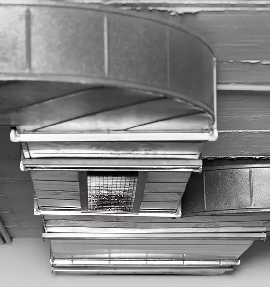 Professional Air Duct Pest Removal in Westchase, FL