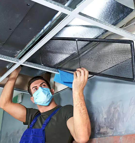 Professional Air Duct Pollen Cleaning in Westchase, FL