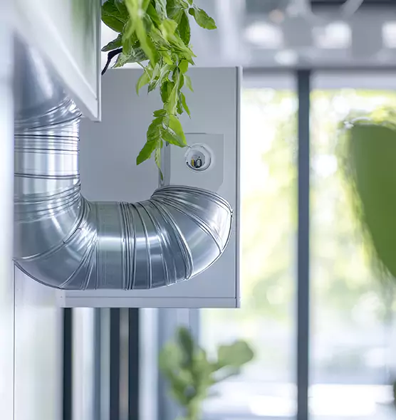 Professional Eco-Safe Dryer Vent Cleaning in Westchase, FL