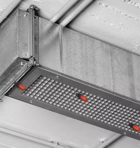 Affordable Insect Removal from Air Ducts in Westchase, FL