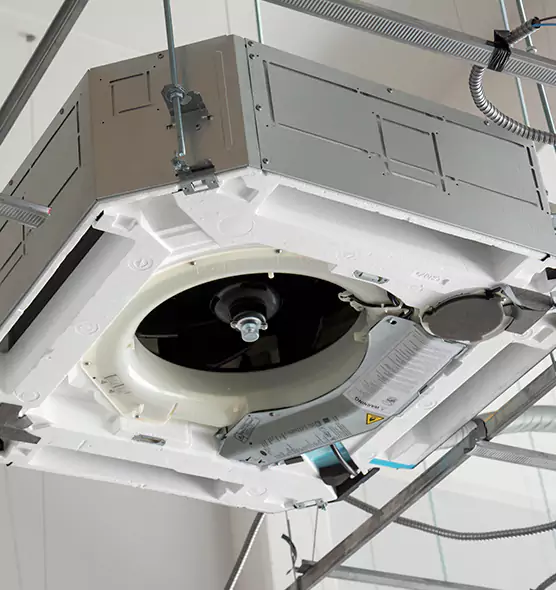 Professional Roof Vent Lint Removal Westchase, FL