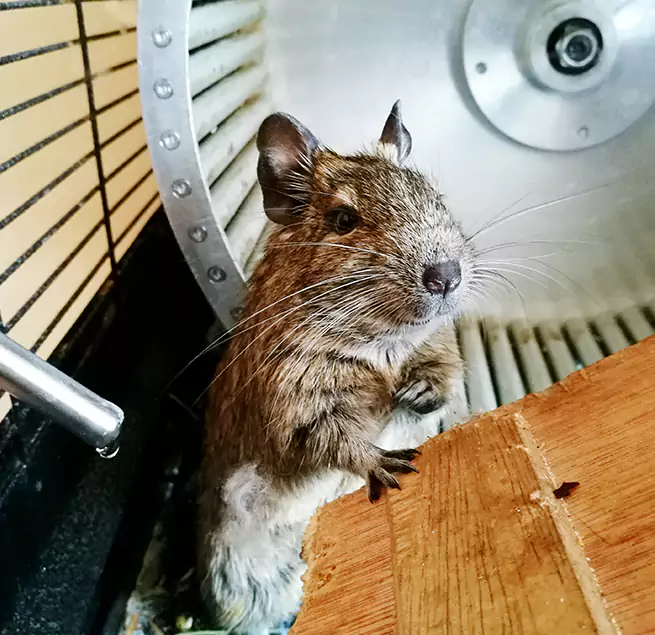 Why Homeowners & Businesses Trust Us Westchase, FL?