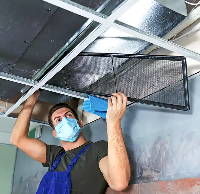 Why Homeowners Businesses Trust Us in Westchase, FL