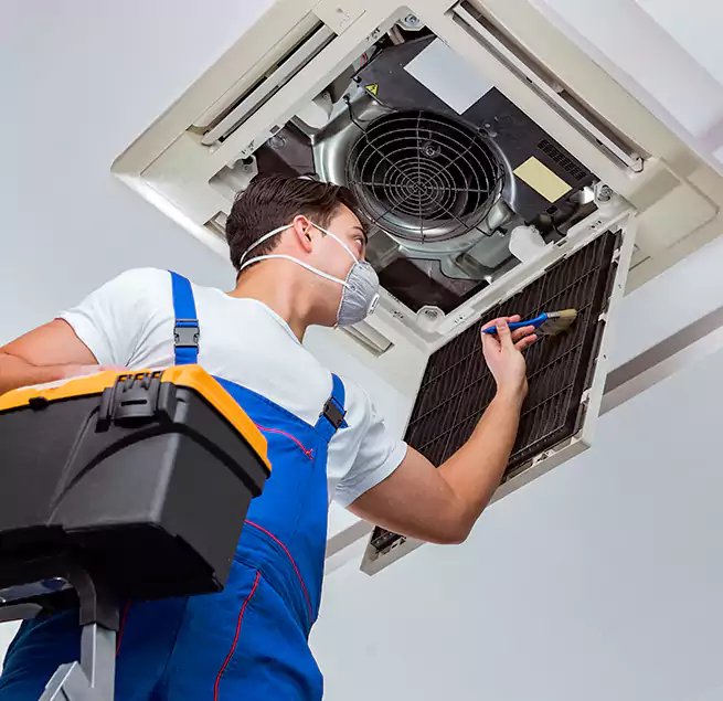 Why Homeowners & Businesses Trust Us in Westchase, FL