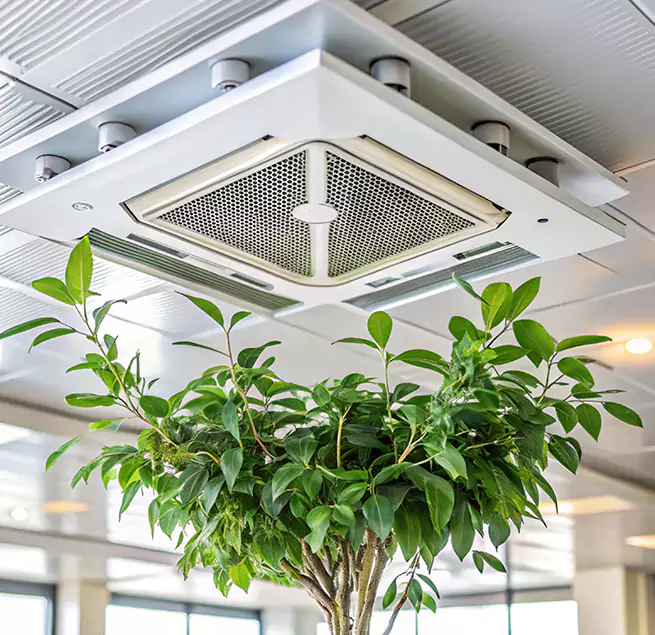 Why Homeowners & Businesses Trust Us in Westchase, FL?