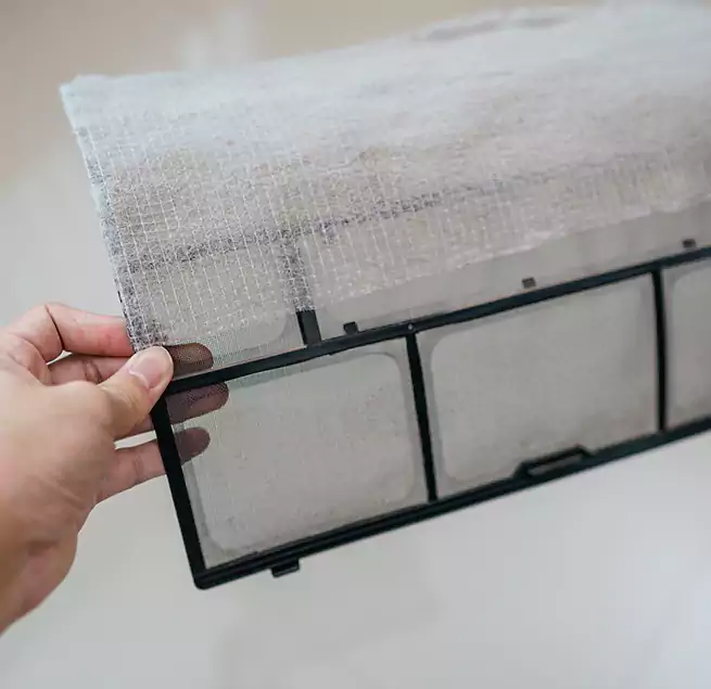 Why Homeowners & Businesses Trust Us in Westchase, FL?