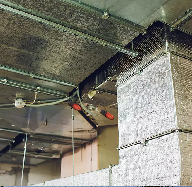 Why Homeowners & Businesses Trust Us Westchase, FL?