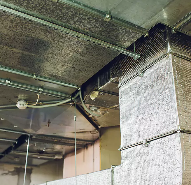 Why Homeowners & Businesses Trust Us in Westchase, FL?